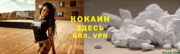 винт Богданович