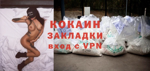 винт Богданович